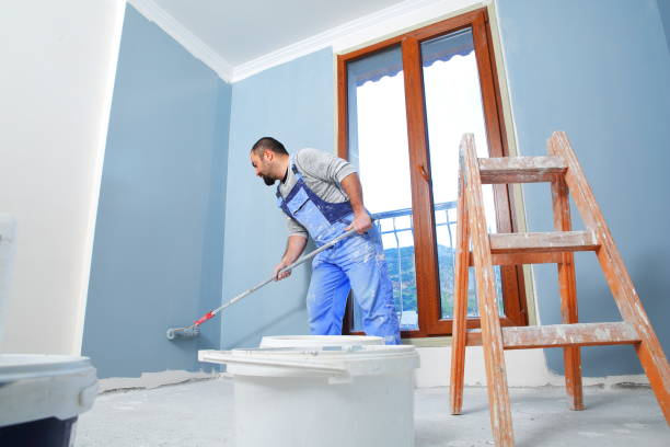 Reliable Paragould, AR Mold Removal Solutions