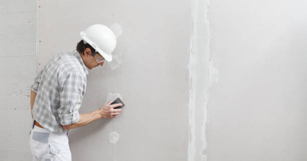 Best Industrial Mold Remediation  in Pagould, AR