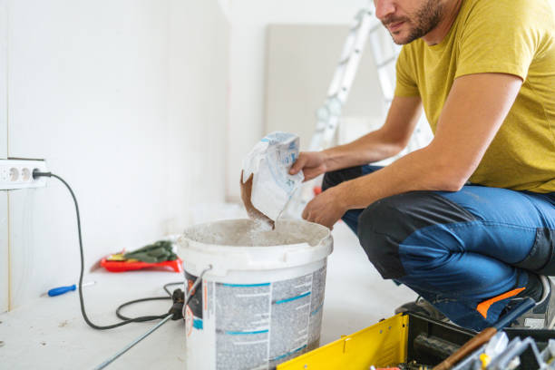 Best Mold Removal for HVAC Installations  in Pagould, AR
