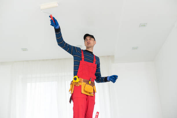 Biohazard Mold Removal in Paragould, AR
